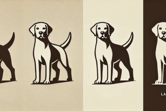 Entrenamiento basico para labradores 5 comandos esenciales