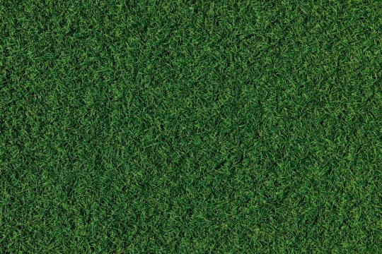 Mejores tipos de césped artificial según el uso